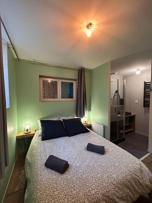 Le Cosy Balat Biel Rdc Jardin Spacieux Grisolles  Exterior foto