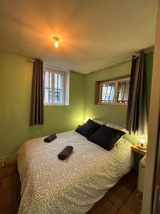 Le Cosy Balat Biel Rdc Jardin Spacieux Grisolles  Exterior foto